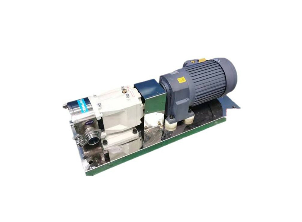 HS不鏽鋼轉子泵浦